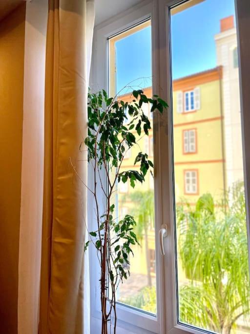Confort Hypercentre D'ajaccio Apartment